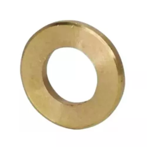 Arruela Bronze Nº22/98 Máquina Carne Irmãos Picelli