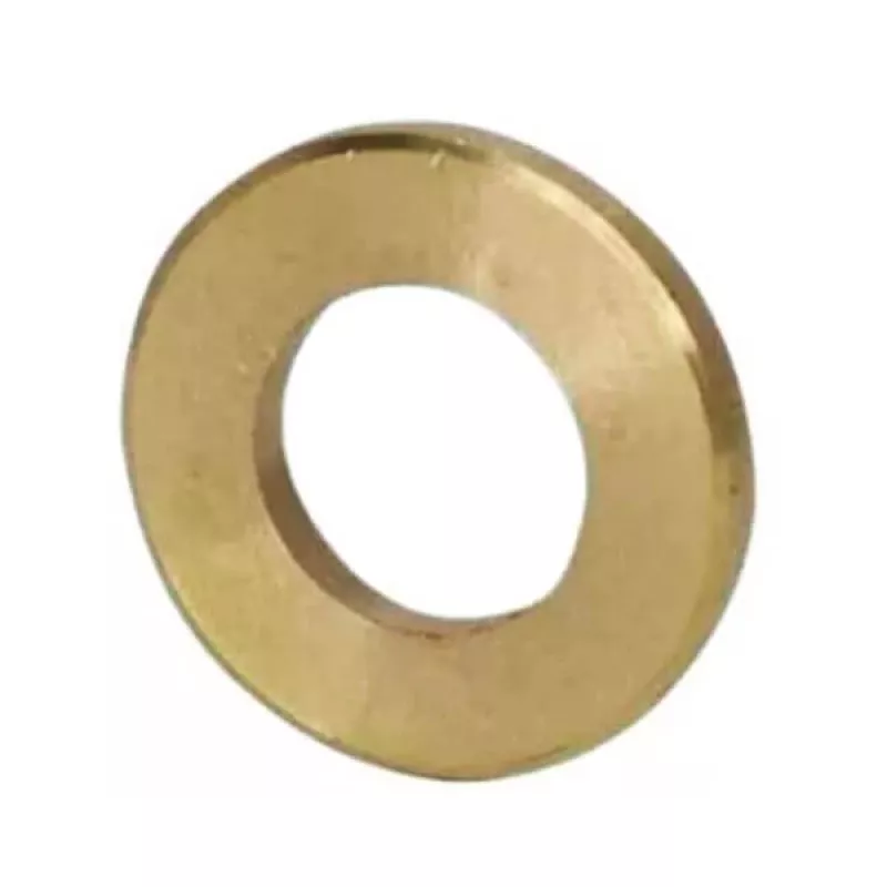 Arruela Bronze Nº22/98 Máquina Carne Irmãos Picelli