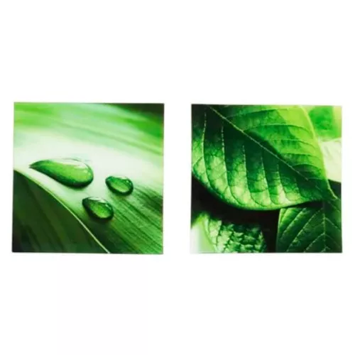 Conjunto 2 Quadros Folhas Decorativos Paisagem Mek